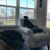 Trish Mowrey's profile image