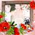 Paul Dybilas's profile image