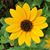 Barb Douris's profile image