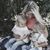 Sandy Hill's profile image