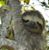 Kathryn Prindle's profile image