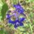 Beth Kovacs's profile image