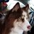 Joann Krajack Quail's profile image