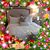 Ericka Jones's profile image