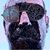 Bill Porter's profile image