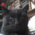 Mike Lipsette's profile image