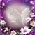 Charlene Sessa's profile image