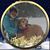 Sally Irwin's profile image