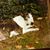 Mary Ann Dennis's profile image