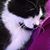 Luci Smithson Cavanaugh's profile image