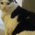 Vicky Grant's profile image