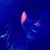 Darla Lüecke's profile image