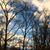 Kathleen Smith's profile image