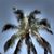 Kari Schaeffer's profile image
