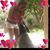 Karen Musarra's profile image