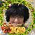 Brenda Eickhorst Pentecost's profile image