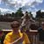 Kimberly Mitchell's profile image