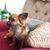 Karen Eide's profile image