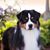 Jarilyn Pusz's profile image