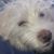 Rex Harris's profile image