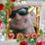 Chuck Chesteen's profile image