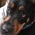 Millie Brown's profile image