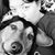 Elizabeth M. Mottaz's profile image