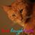 Dave Watson's profile image