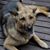 Bonnie Kleven's profile image