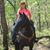 Leslie Sharp's profile image