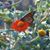 Sandy Luken Stanton's profile image