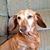 Pamela J Plant Strong's profile image