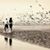 Serenity Studdebaker's profile image