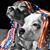 Jeremy Steiner's profile image