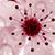 Brenda Mauricio's profile image