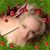 Lisa M Grant's profile image