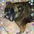 Pam Weslowski's profile image