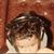 Juan Escobedo's profile image