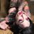 Michelle DiDonato's profile image