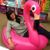 Hillary Grace Andrews-Katz's profile image