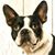 Laura Becker Craig's profile image
