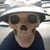 Tony Sandoval's profile image