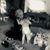 Marie Mae's profile image
