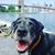 Morgan James Chadwick's profile image