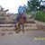 Jennifer J McCollough's profile image