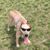 Richard Stanton's profile image