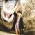 Grace Tinkey's profile image