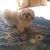 Nina Manley Johnson's profile image