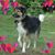 Krista Skiver's profile image