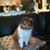 Janice Thibodeaux's profile image